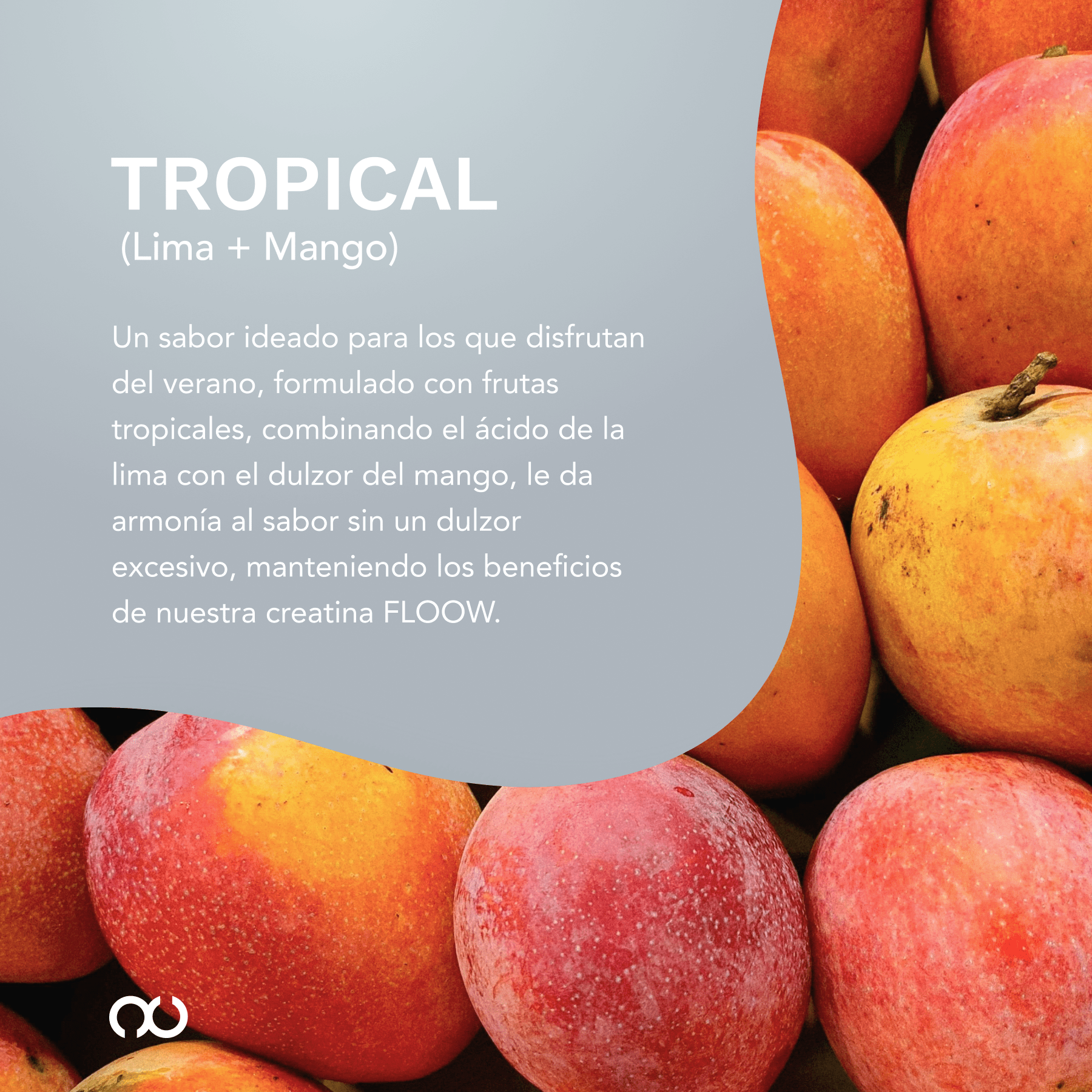 Pack de Creatina Monohidratada - Tropical & Berry mix